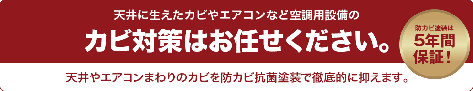 天井に生えたカビやエアコンなど空調用設備のカビ対策はお任せください。